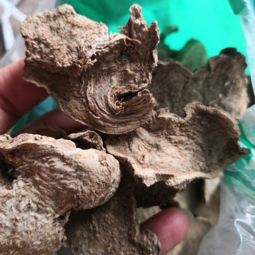 土三七 冷背中药材 和三七不一样