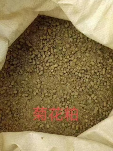 青岛 菊花粕，水分12以内