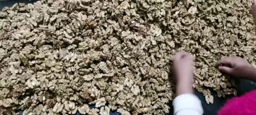 汾阳市 山西核桃仁