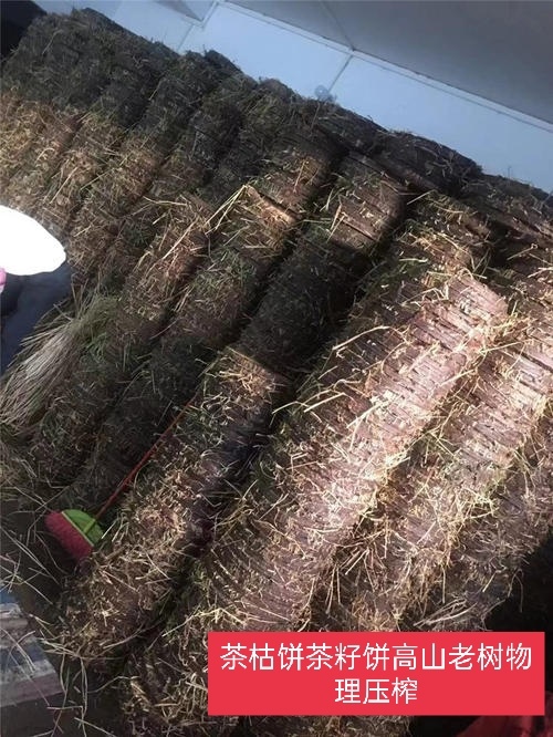 炎陵县 茶枯饼茶油饼
