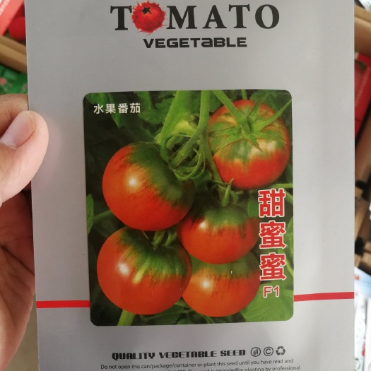 草莓番茄种子  甜蜜蜜F1西红柿种子,就是小时候的味道!