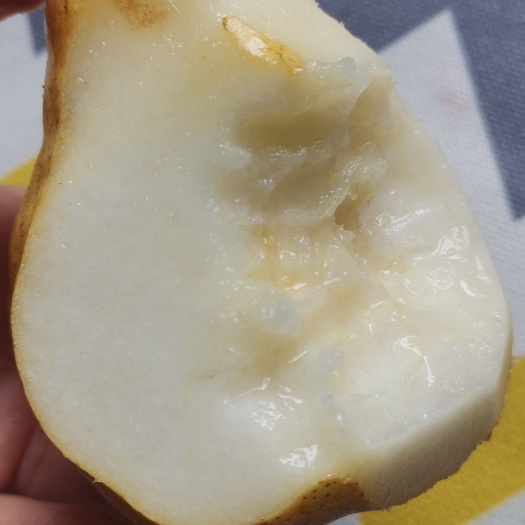 赵县中华丑梨新鲜水果梨子软糯香甜当季现摘宝宝辅食整箱包邮