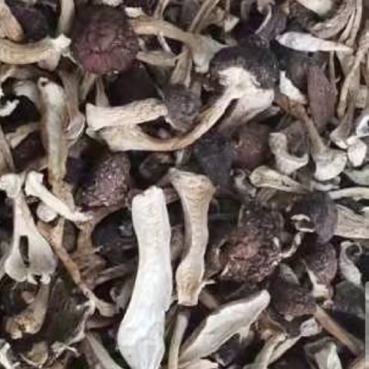 鸡油菌 赤松茸干大货批发，电烘干