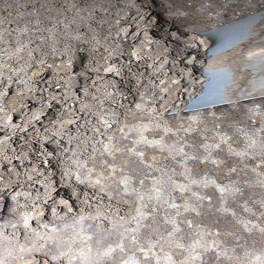 开平市 常年出售纯鸡粪农业有机肥量大直供农业合作社基地实惠价格