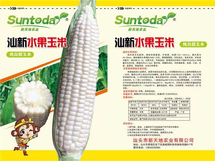 汕头汕研牛奶玉米种子  汕研生吃牛奶冰糖水果玉米种子50克