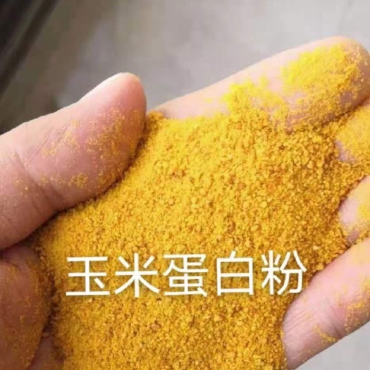 石家庄玉米渣 玉米蛋白粉