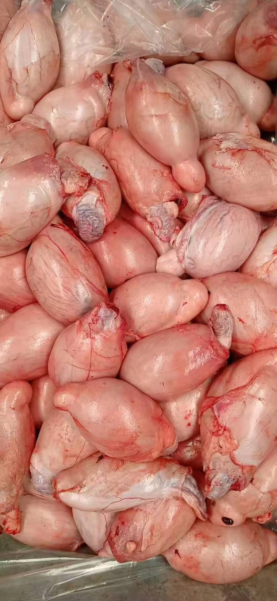 Ӽиʶ򱦳ڹӦݣ