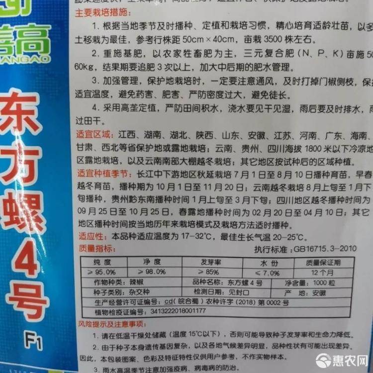 螺丝椒种子  东方螺4号螺丝辣椒种子，青果翠绿色,部皱褶明显,果型曲美,皮