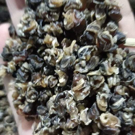 澧县石螺肉  螺蛳干，质保价优，您的满意我们的追求。