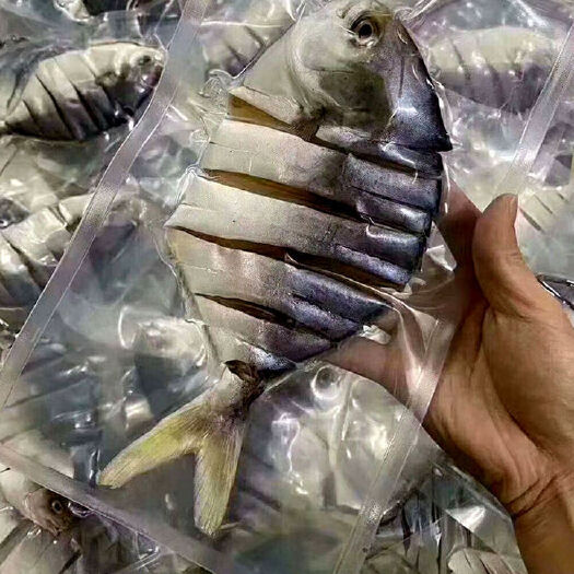 平阳县金昌鱼干