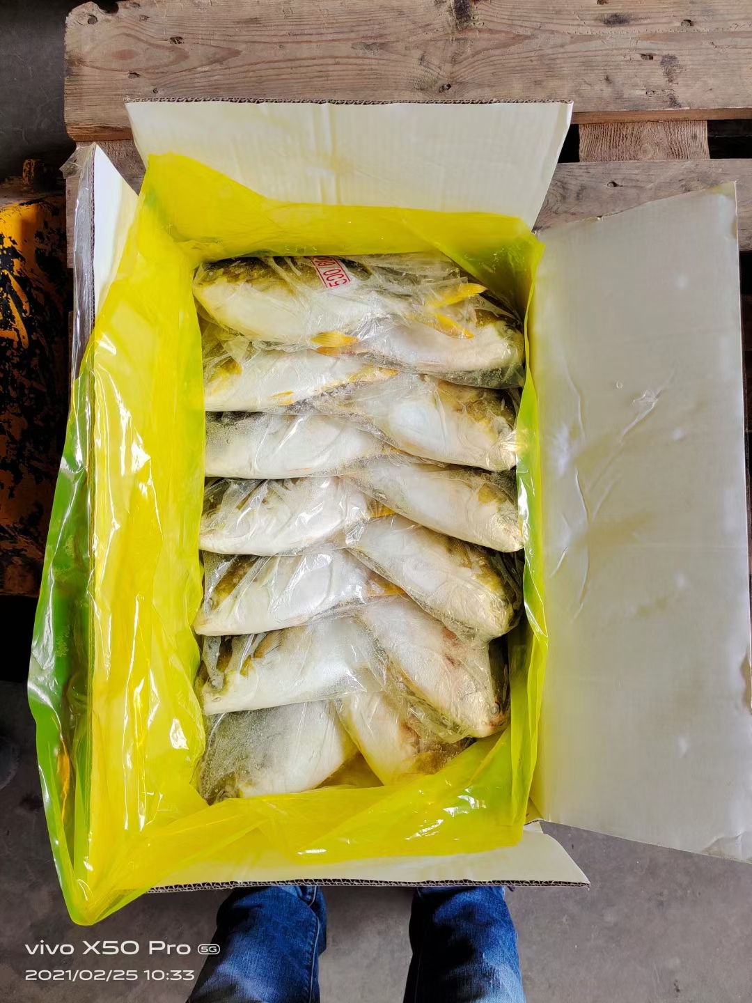 干冰金鲳鱼原料（适合走市场一夜埕鱼干）实时价格请咨询