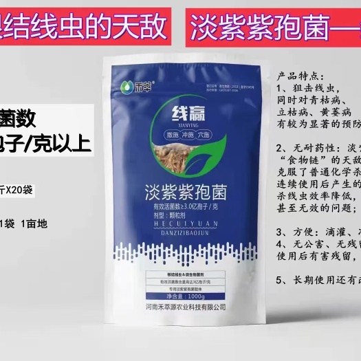 郑州根结线虫的天敌-线赢