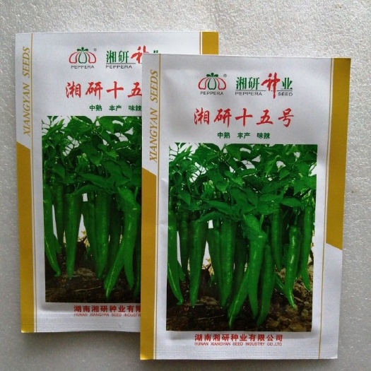 长沙县线椒种子  原包装湘研种业湘研十五号辣椒种子中熟丰产味辣净含量1000粒