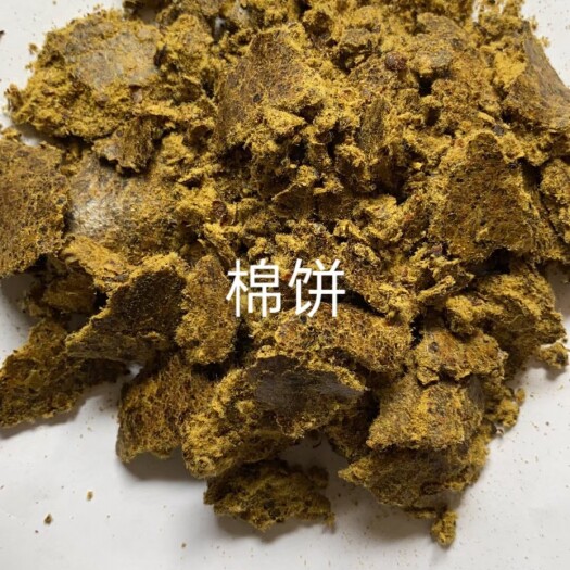 石家庄酒糟 棉饼