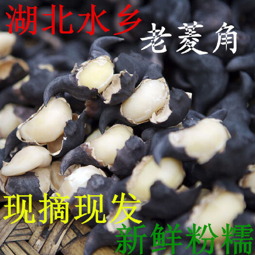 新鲜菱角湖北特产青菱角野生黑壳老菱角粉糯保鲜