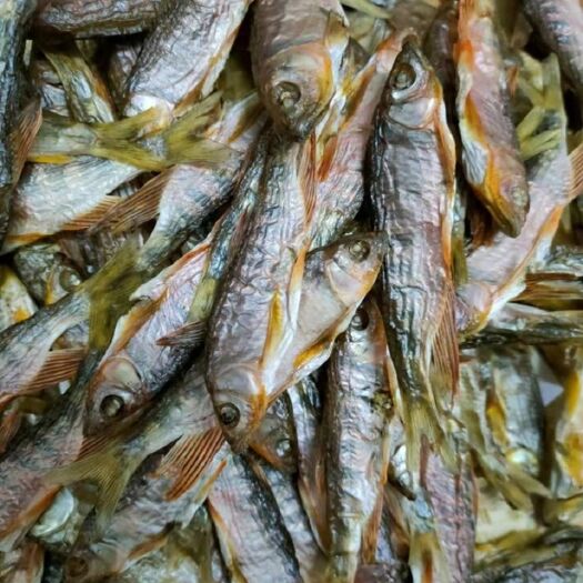 平阳县淡水溪鱼干 桃花鱼干
