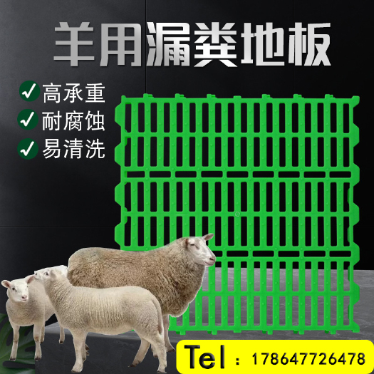 沧州 漏粪板 羊用双筋塑料羊床漏粪地板 羊漏粪地板规格 福德塑料羊
