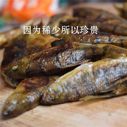 平阳县淡水溪石斑鱼干