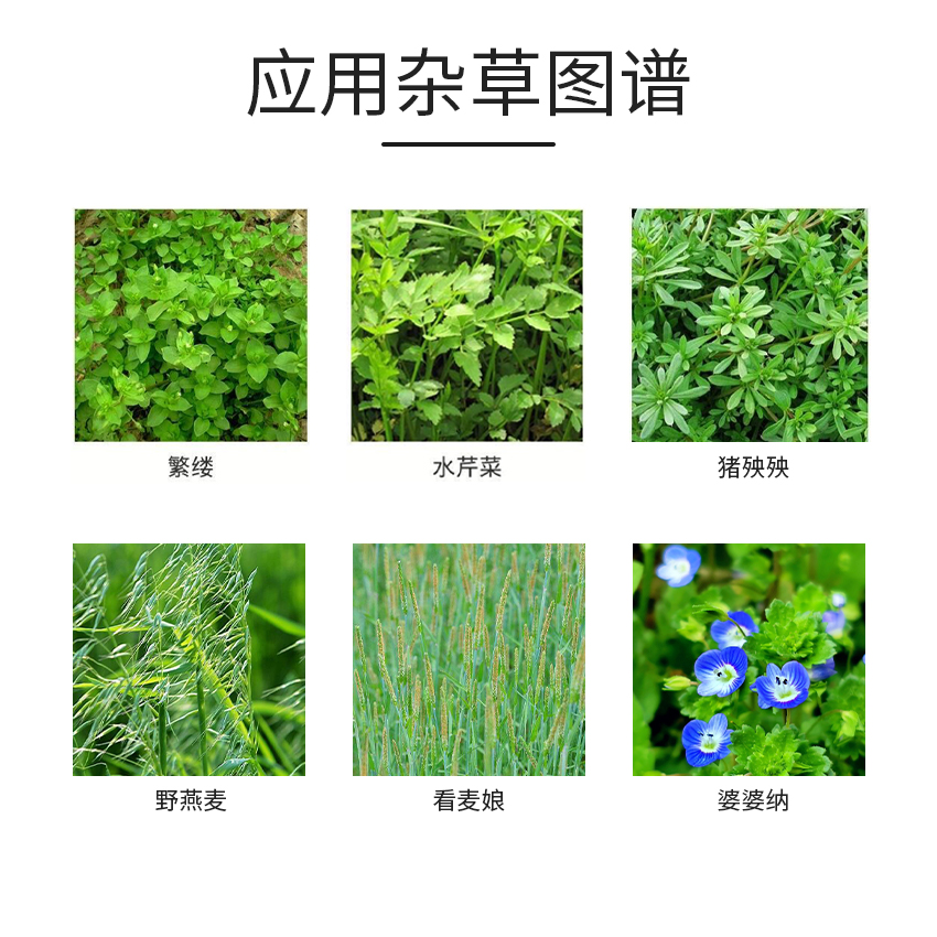 油菜除草剂  油菜专用除草剂甘蓝型油菜田专用除草剂