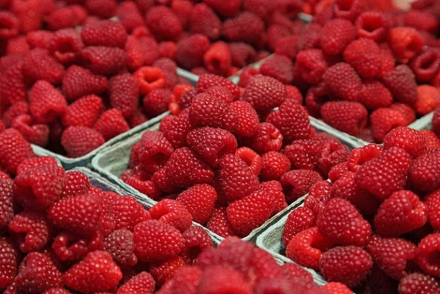 龙山县 红树莓，黑树莓，黄树莓