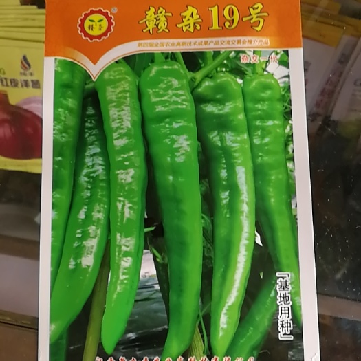 南昌川优19号辣种种子 杂交种 预包装 