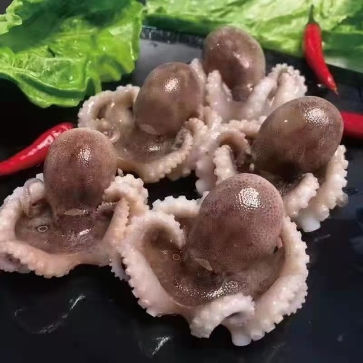 连云港海鲜八爪鱼海鲜小章鱼海鲜鲜活八爪鱼章鱼爆头火锅食材新鲜八爪鱼