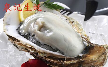 诏安县三倍体生蚝 漳州生蚝，天然食品，纯净海水培育的高级食品，！