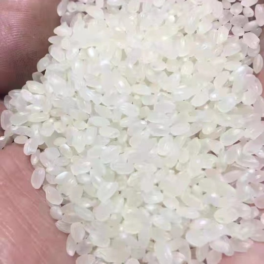  珍珠米优惠款2020年