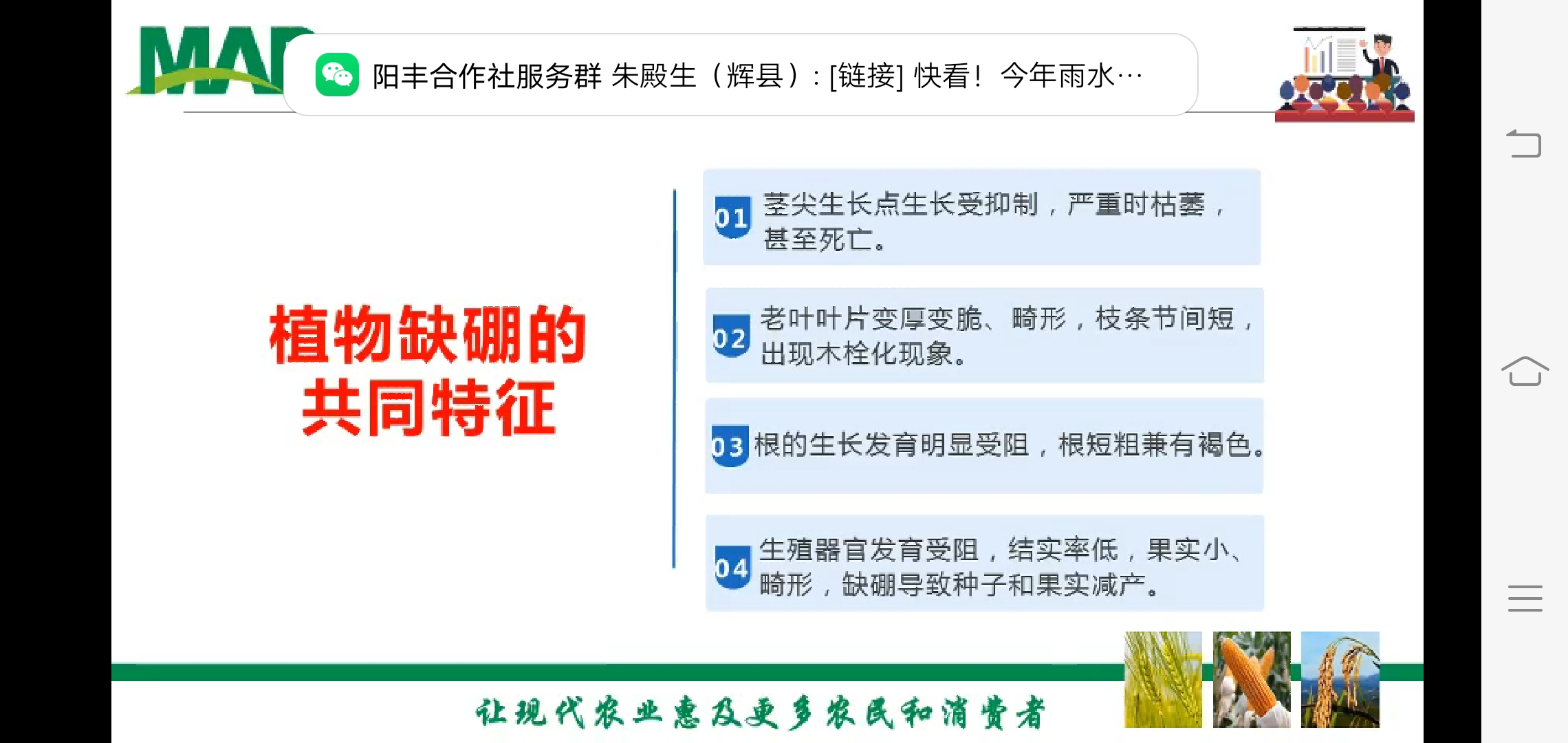 农技人员 农药化肥技术 草莓方案