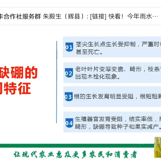 农技人员 农药化肥技术 草莓方案
