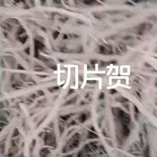 合阳县柴胡