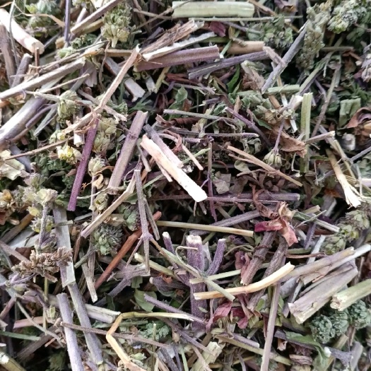 荣县精品荆芥，大货提供，寻实力商家，长期合作