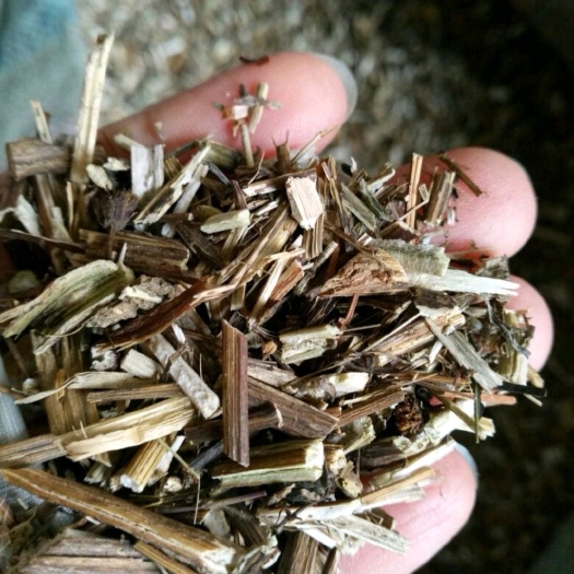 鬼针草 干货 量大从优