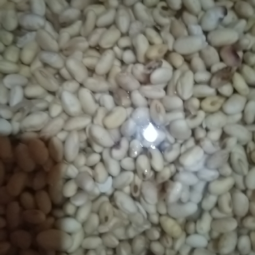 涟水县黄大豆 江苏省淮安市涟水县 生大豆 1等品 