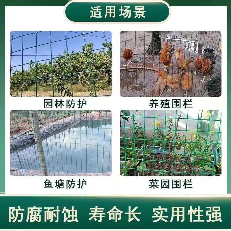 护栏网荷兰网铁丝网硬塑圈地网果园网养殖网鱼塘防护网耐用15年