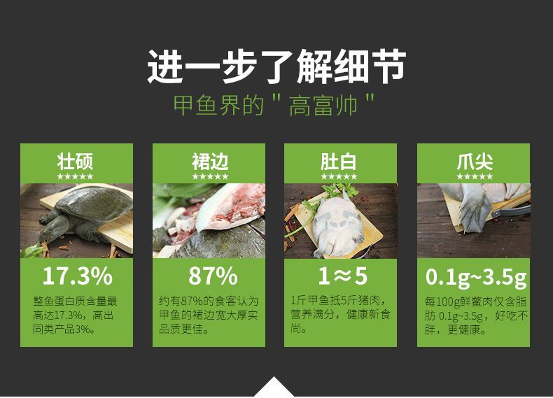 珍珠鳖 鲜活的大甲鱼