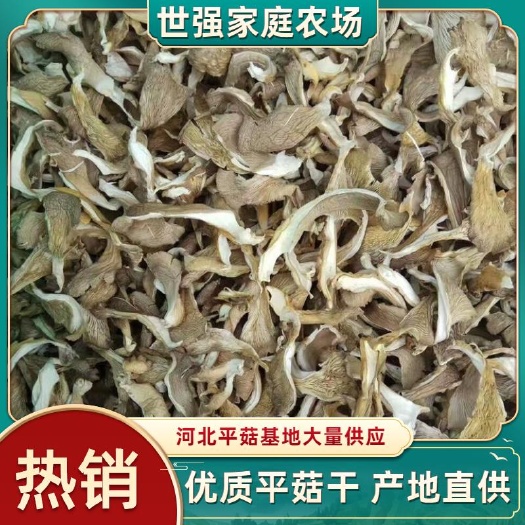邯郸干平菇  条菇 凤尾  菇精品条状去根 无杂质基地直销产地发