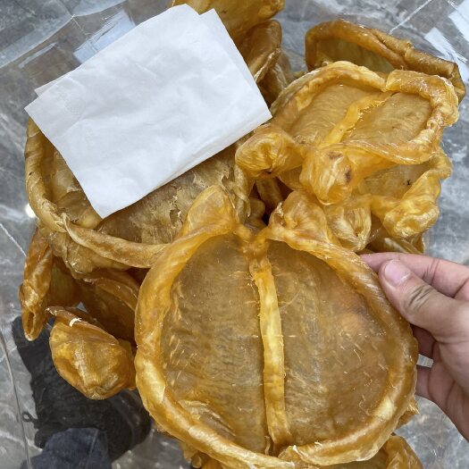 广州黄花胶片4头足干A货厚肉