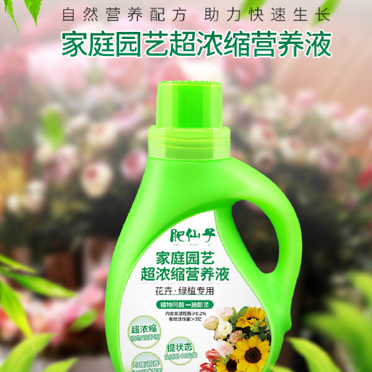 汉寿县水溶肥 肥仙子花卉绿植专用型营养液