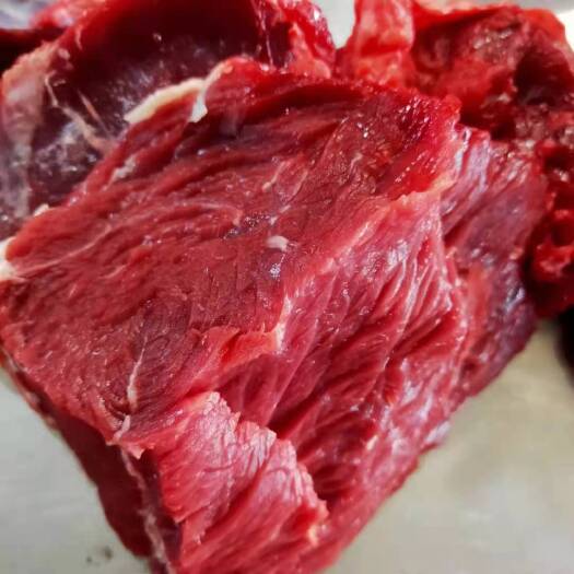 牛腱子肉  生牛肉批发10斤新鲜肉食类火锅食材冷冻微调理牛肉