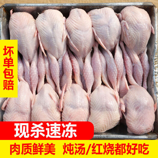 鹌鹑肉特大母鹌鹑现杀【放血去内脏】活体速冻新鲜白条烧烤炖