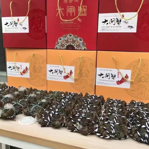 大闸蟹  螃蟹礼盒装 只只挑过 膏满肉肥 送礼 家宴 全套配齐