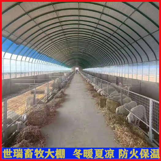 宁津县 建设养羊棚材料羊舍大棚搭建山羊养殖大棚安装