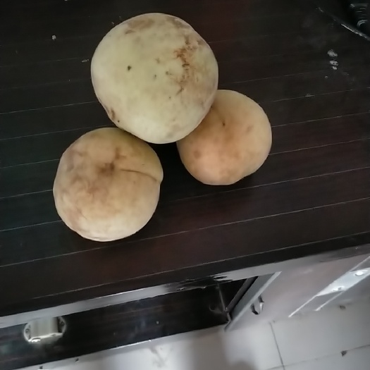 滑县黄金蜜 河南省安阳市滑县 