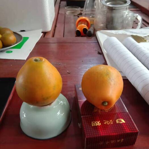 融安县脆蜜金桔