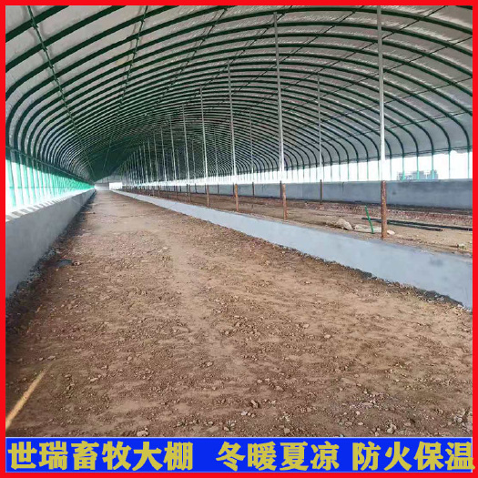 宁津县养殖大棚 全自动养牛大棚建设养牛棚材料生产安装牛舍搭建
