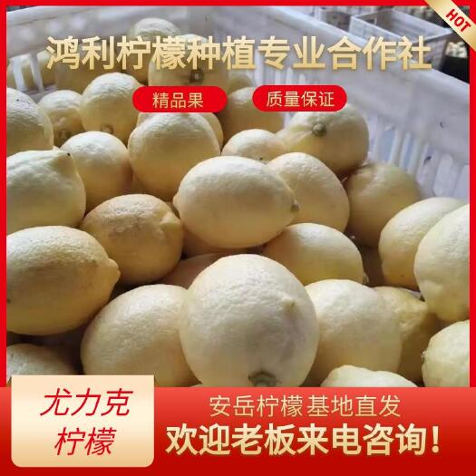 安岳县尤力克柠檬