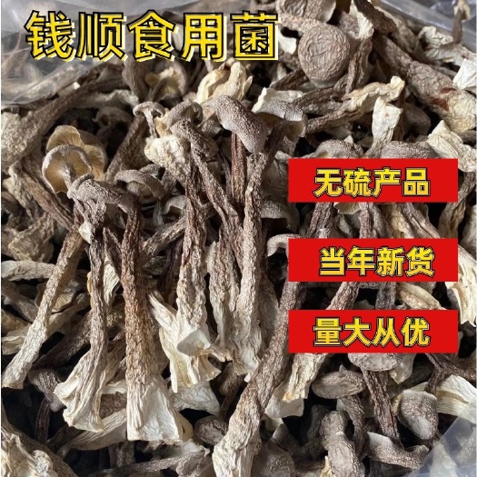 古田县鹿茸菇，2020新货，一件代发，诚信经营量大从优