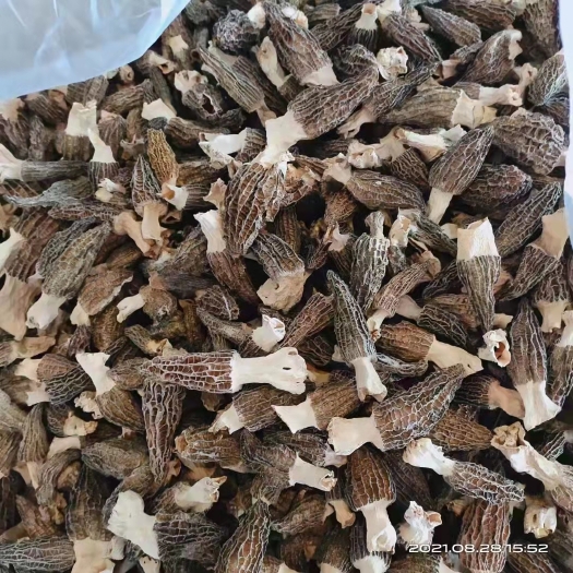 恩施市羊肚菌，高山无公害天然羊肚菌