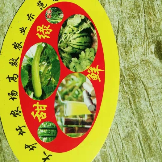 天长市 安徽天长黑皮甘蔗